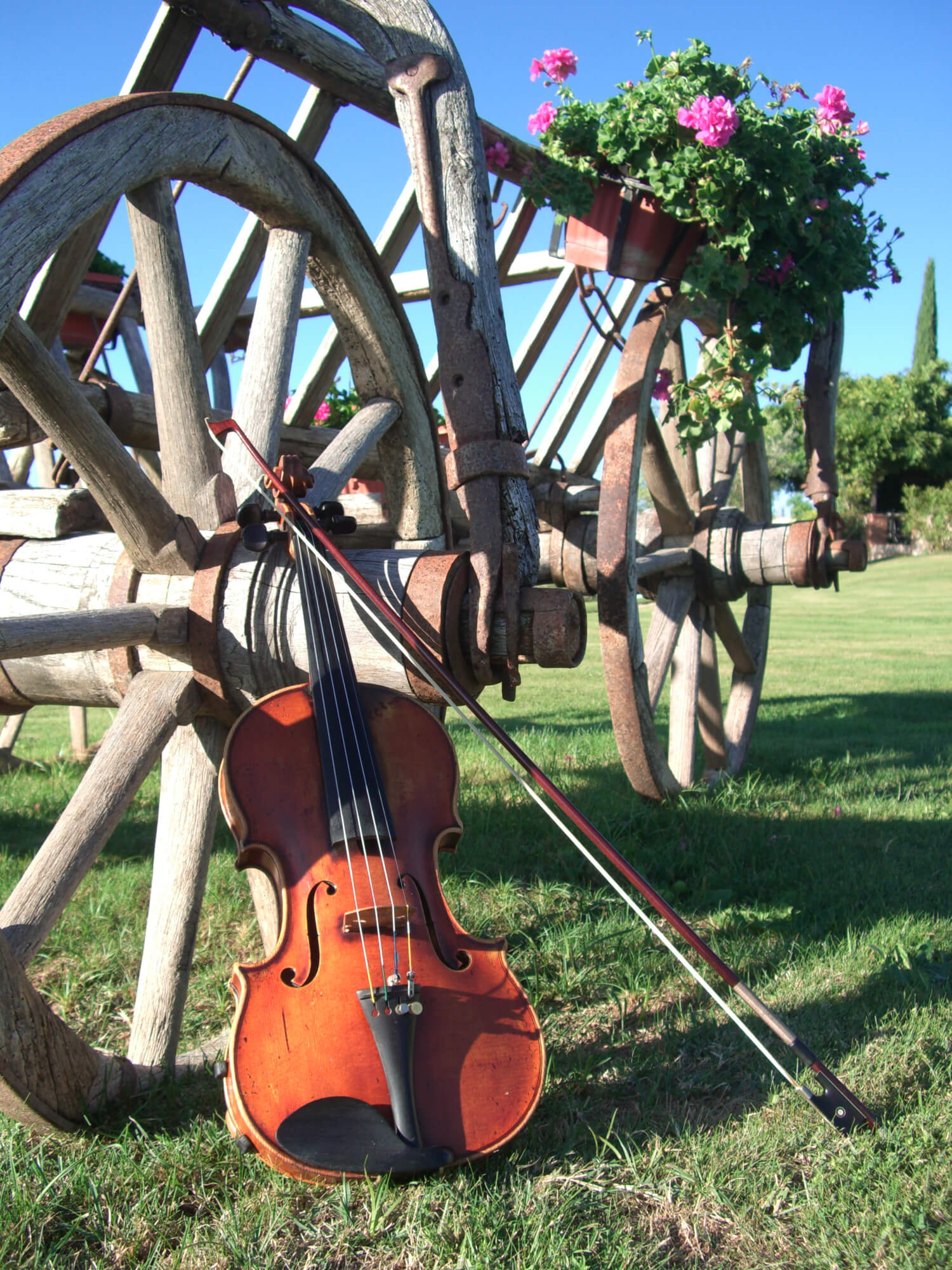 Violinista per Cerimonia civile o religiosa